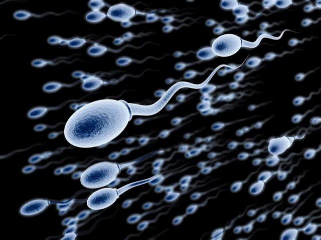 How To Make Sperm Stringer For Pregnancy: Here Are Best Tips To Follow