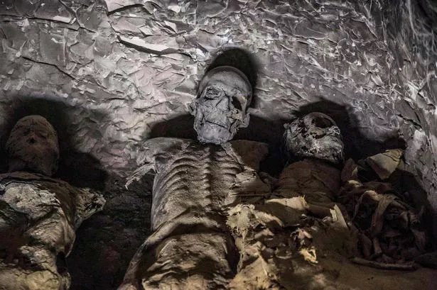 See The Woman Who Was Preserved Inside A Coffin In Egypt For A Long Period Of Time