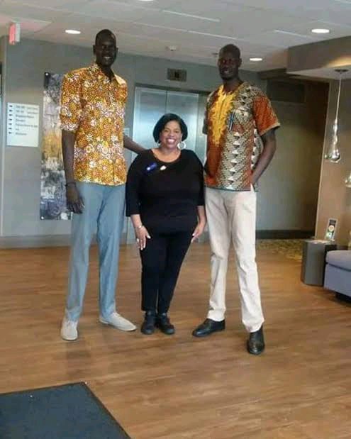 Check Out country With The Tallest People