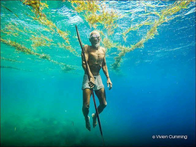 Meet The Bajau People Who Spend Most Of Their Lives Underwater, Here Is How They Survive