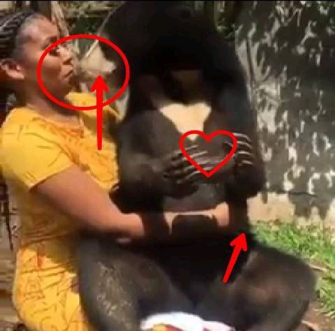 See Pictures Of A Woman With An Animal Kìssíng