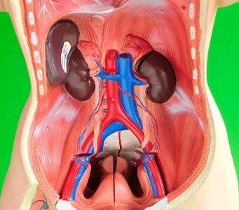 If Your Kidneys Are In Danger, Your Body Will Give You These 8 Signs