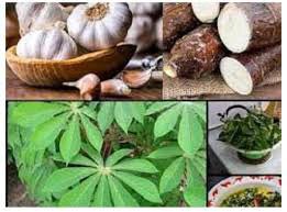 Boil Cassava Leaves With Salt And Garlic To Treat This Health Problems Completely