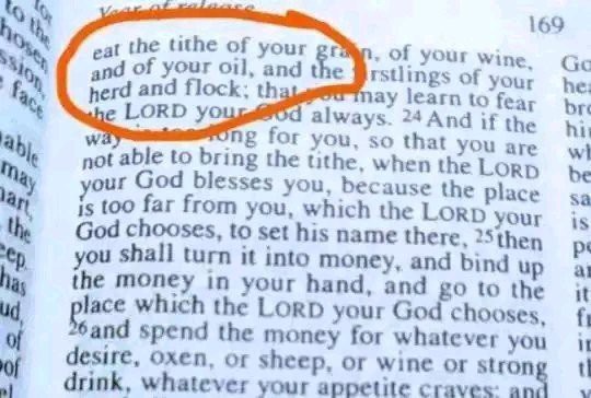 What The Bible Says About Marrying More Than One Wife