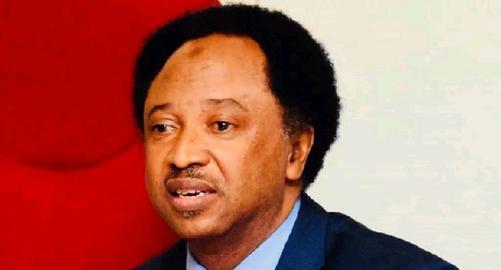 Protest In Kenya Is A Warning To All African Govts, Where Patience Ends, Revolts Begins -Shehu Sani