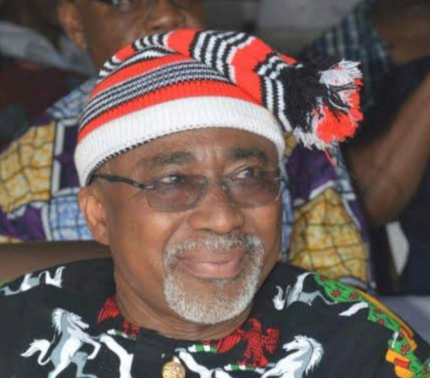 There Are More Cows In Botswana Than Nigeria, Botswana Is Size Of 2 S/ East States -Enyinnaya Abaribe