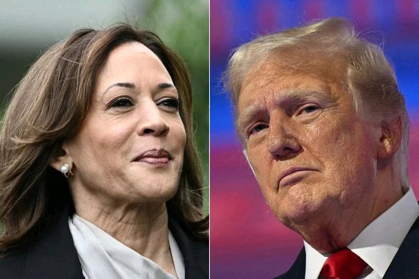 US Election: Kamala Harris Gains Ground In Polls As Donald Trump Attacks Her As ‘Marxist’