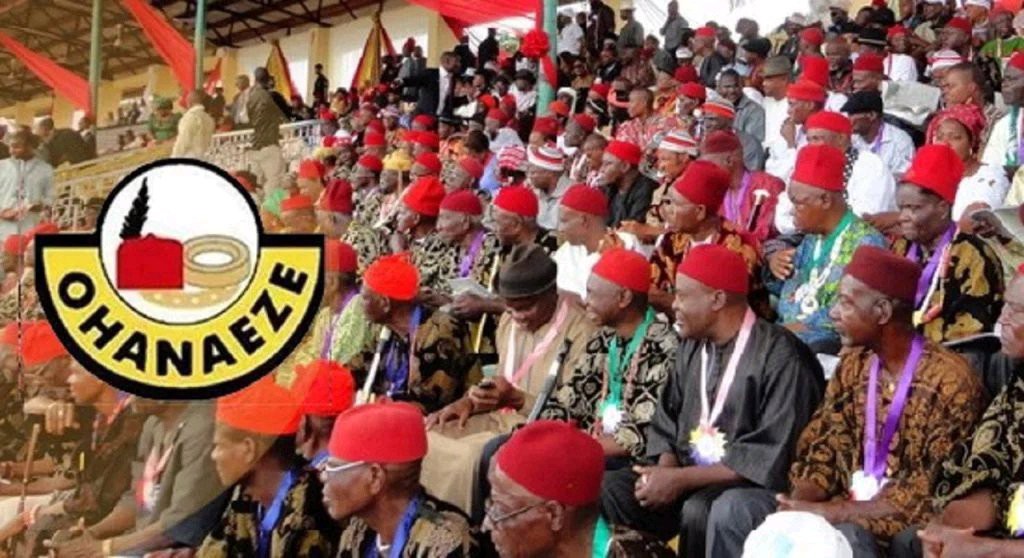 Tinubu: A Reversal Of Fuel Prices Could Have Potentially Quelled The Nationwide Protest -Ohaneze