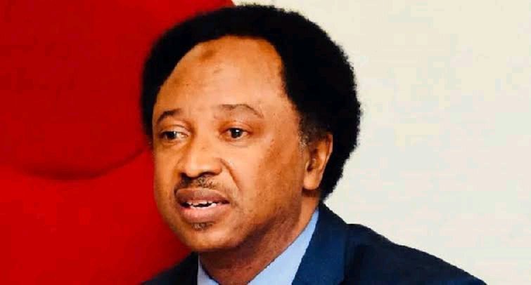 Shehu Sani Reveals The Only Way To Remove Godswill Akpabio From Being The Senate President