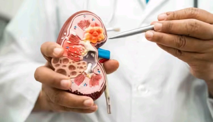 Early Signs Of Kidney Problems: 6 Symptoms You Should Never Ignore